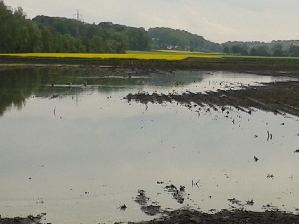 Hochwasser im Risstal Mai 2015