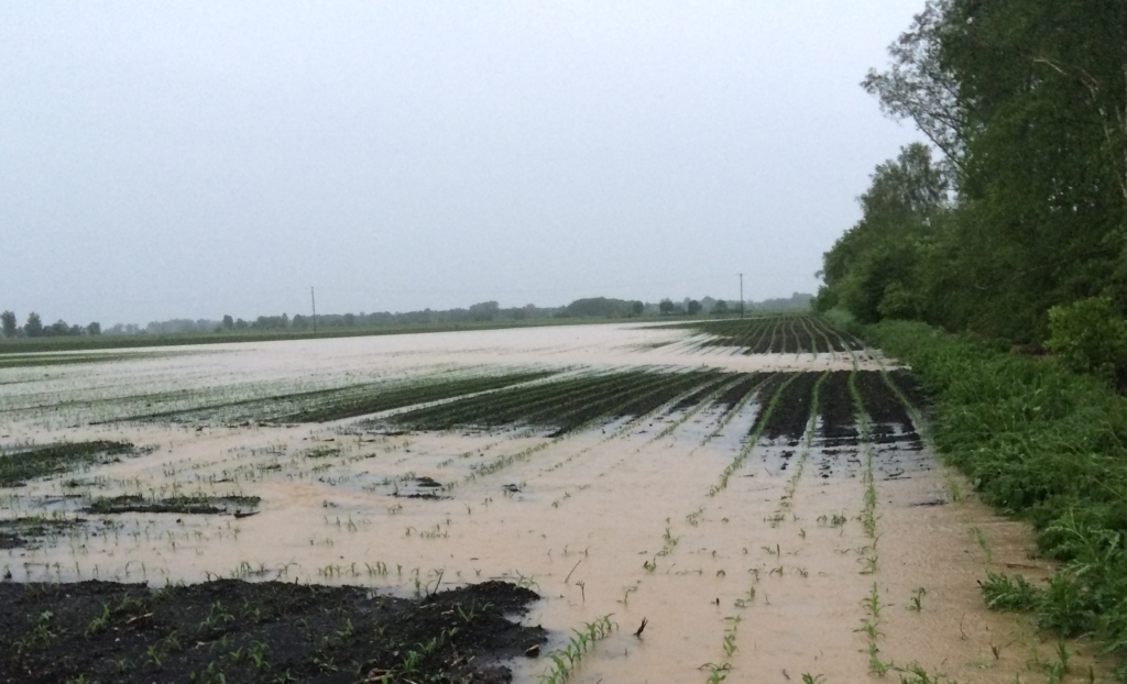 Hochwasser im Risstal Mai 2016 